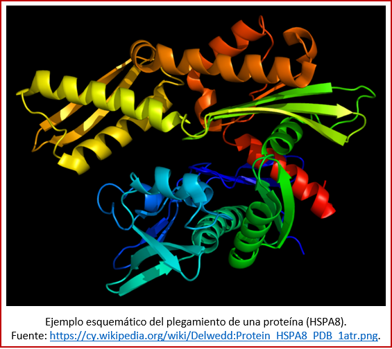 Blog 1811XX - Plegamiento proteína